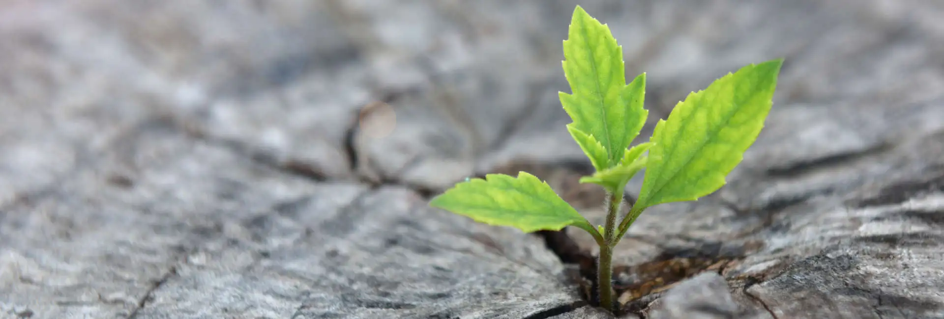 Il Team degli Specialisti Adgenera lavora come un Team per portare al Cliente Energia, Affiatamento e Concretezza